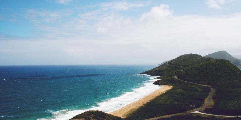 从传统到高效：揭秘新叶工具如何用气动与五金工具革新园林绿化作业