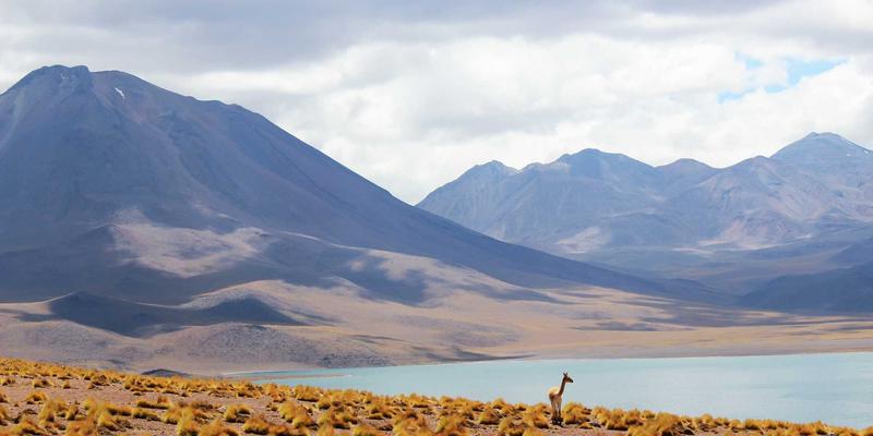 新叶工具74：如何通过专业安全防护与气动技术，重塑五金工具作业新标准？